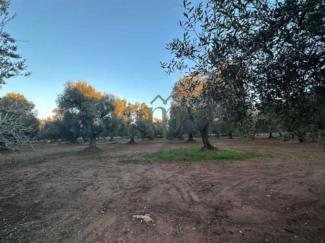 Rustico in vendita a Ostuni, Brindisi