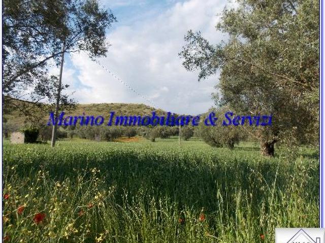 Terreno in vendita a Pignataro Maggiore, Campania