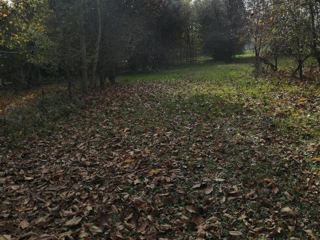 Rustico in vendita a Pontenure, Reggio Emilia
