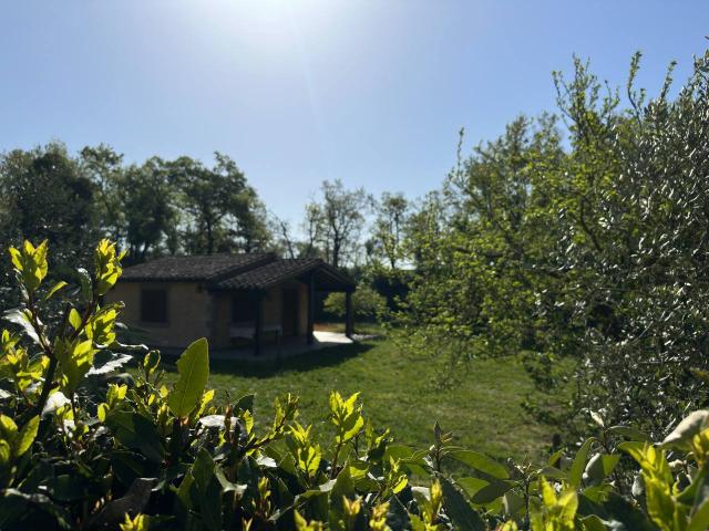 Rustico in vendita a Unione di Comuni Montani Colline del Fiora, Sorano