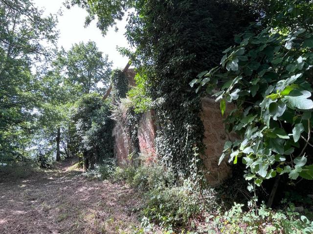 Rustico in vendita a Unione di Comuni Montani Colline del Fiora, Sorano