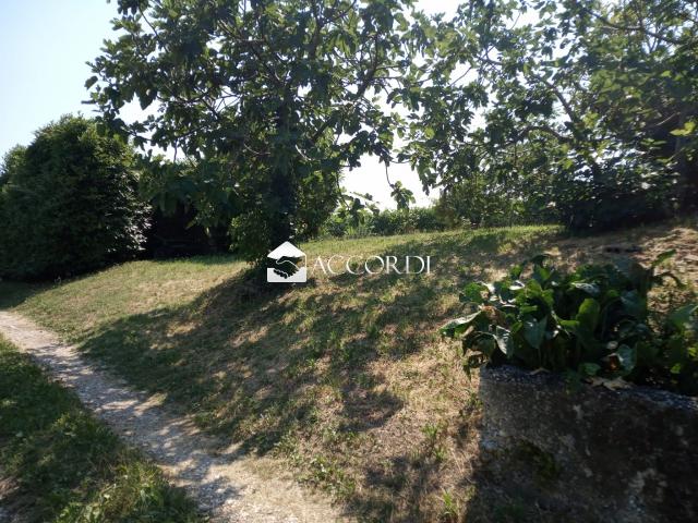 Rustico in vendita a Tarzo, Veneto