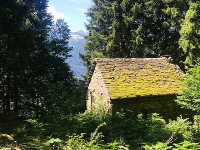 Rustico in vendita a Dreuza, Piemonte