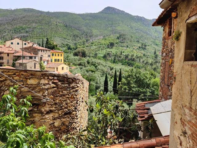 Rustico in vendita a Montemagno, Calci