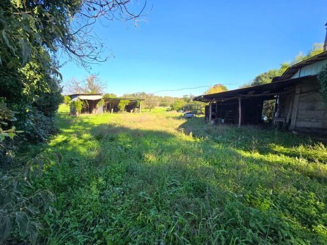 Rustico in vendita a Castelfranco Di Sotto, Toscana