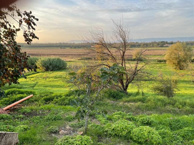 Rustico in vendita a Lazzeretto, Cerreto Guidi
