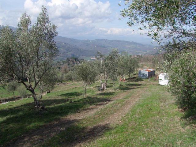Rustico in vendita a Dicomano, Toscana