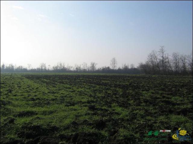 Rustico in vendita a Noceto, Reggio Emilia