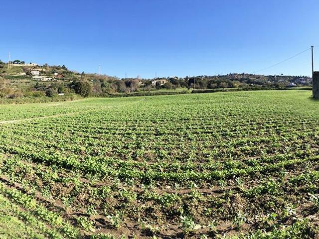 Rustico in vendita a Toiano, Pozzuoli