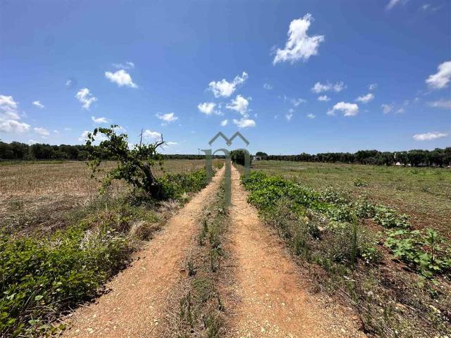 Rustico in vendita a Pantanagianni, Puglia