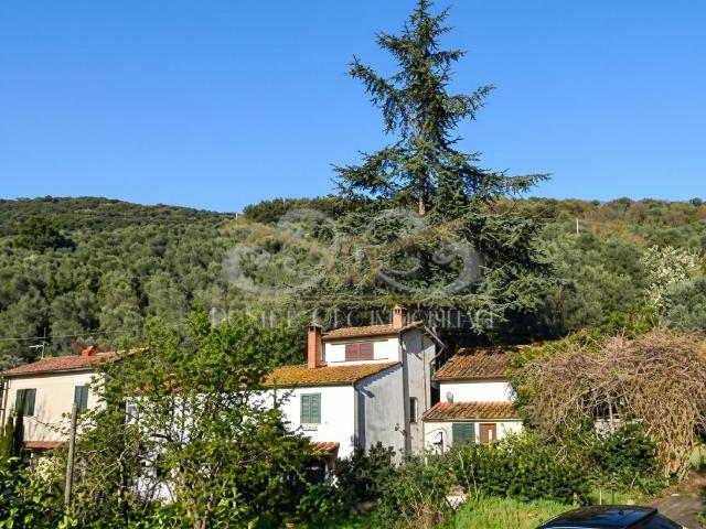 Rustico in vendita a Massarosa, Toscana
