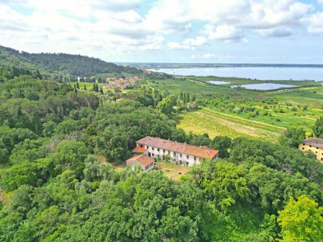 Villa Indipendente in vendita a Massaciuccoli, Massarosa