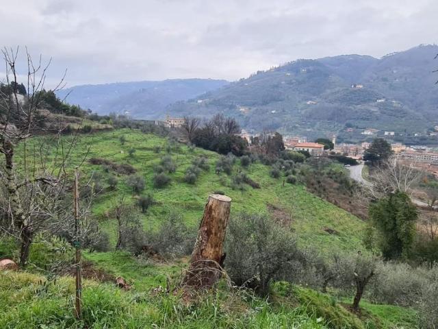 Rustico in vendita a San Lorenzo a Cerreto, Uzzano E Castello