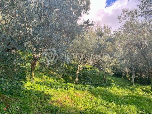 Rustico in vendita a Tonfano, Toscana