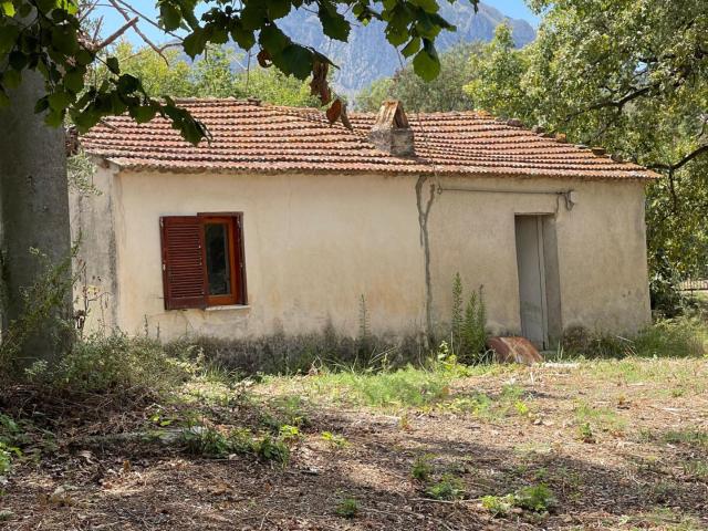 Rustico in vendita a Santa Marina, Campania