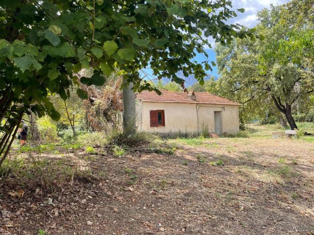 Rustico in vendita a Santa Marina, Campania