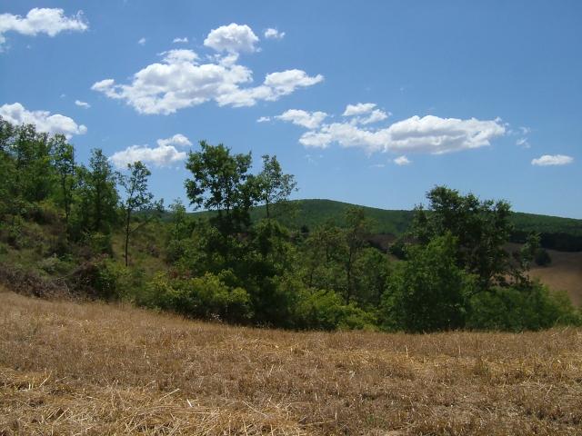 Rustico in vendita a Manciano, Grosseto