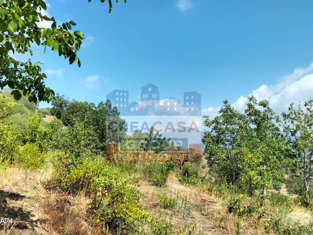 Terreno in vendita a Calatabiano, Sicilia
