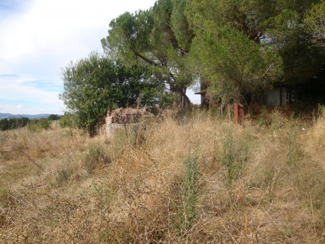 Rustico in vendita a Ginepraia, Bibbona