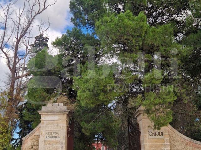 Villa Indipendente in vendita a Puglia, Brindisi