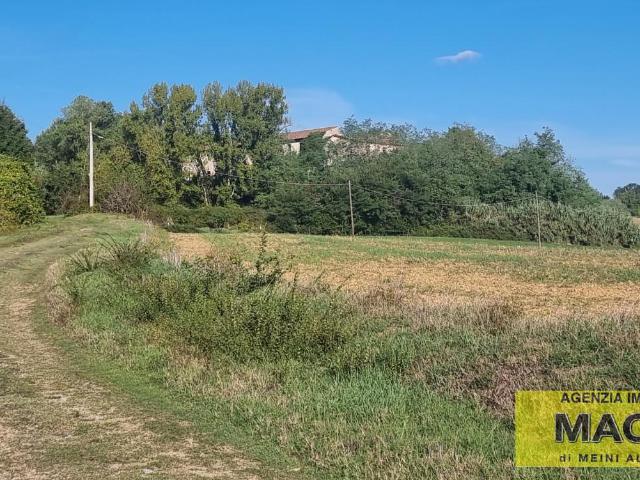 Rustico in vendita a Terricciola, Toscana