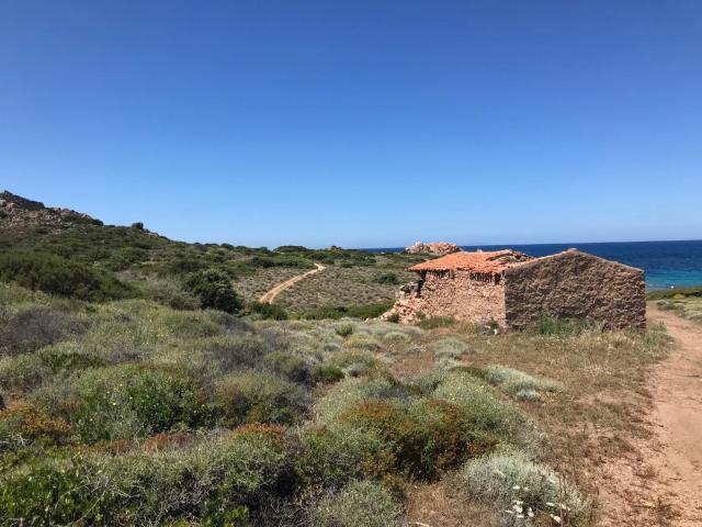 Rustico in vendita a Trinità d'Agultu e Vignola, Sardigna/Sardegna