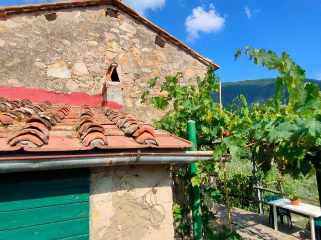 Rustico in vendita a Calci, Toscana