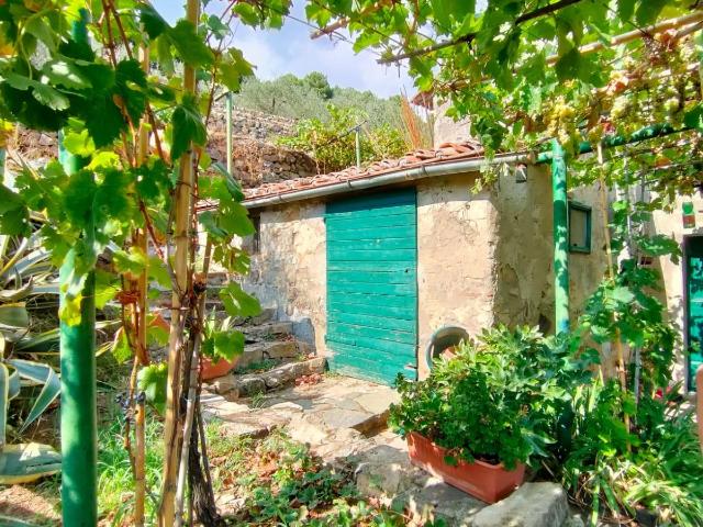 Rustico in vendita a Calci, Toscana