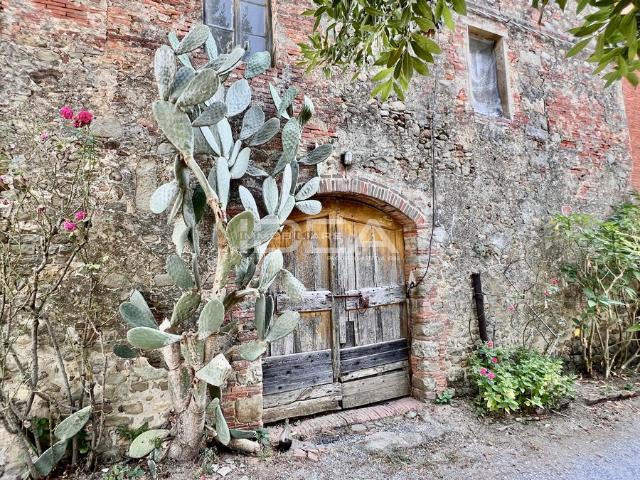 Rustico in vendita a Camigliano, Capannori