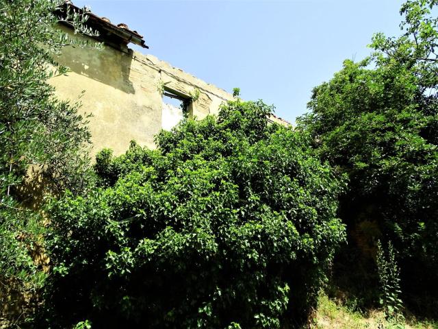 Rustico in vendita a Montopoli In Val D'arno, Toscana