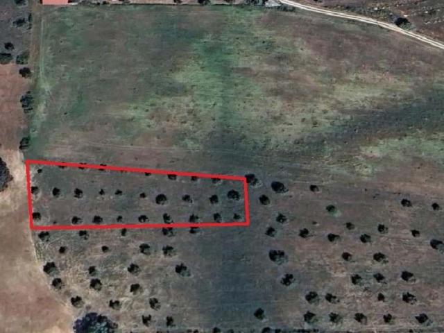 Terreno venda em Santarém