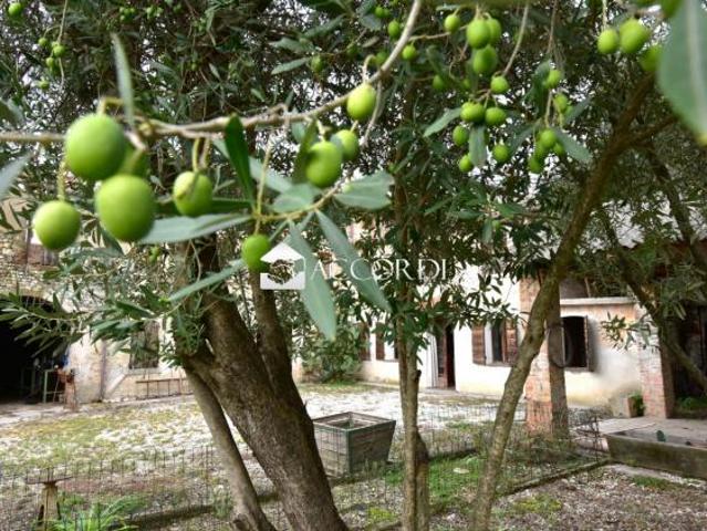 Terreno in vendita a Santa Lucia Di Piave, Veneto