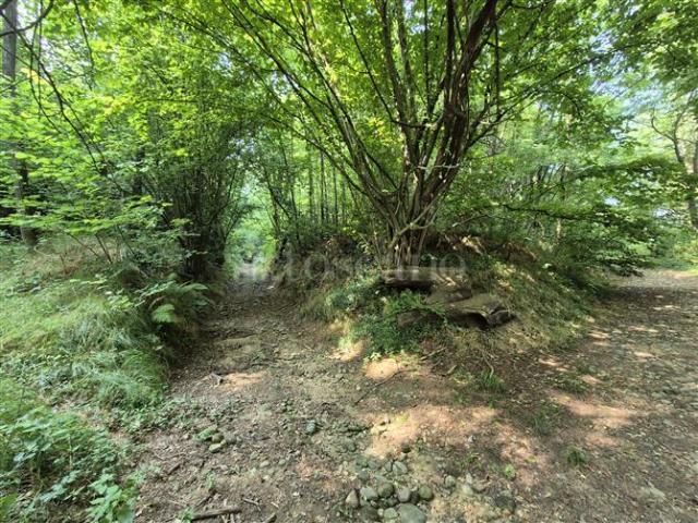 Rustico in vendita a Cabiate, Lombardia