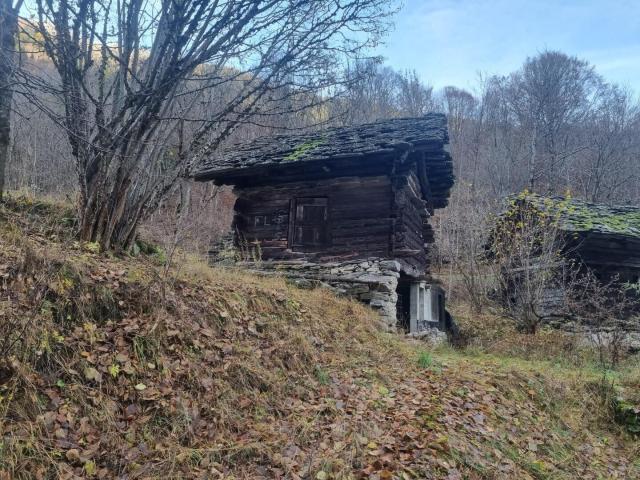 Immobilie kaufen in Campo (Vallemaggia), Tessin