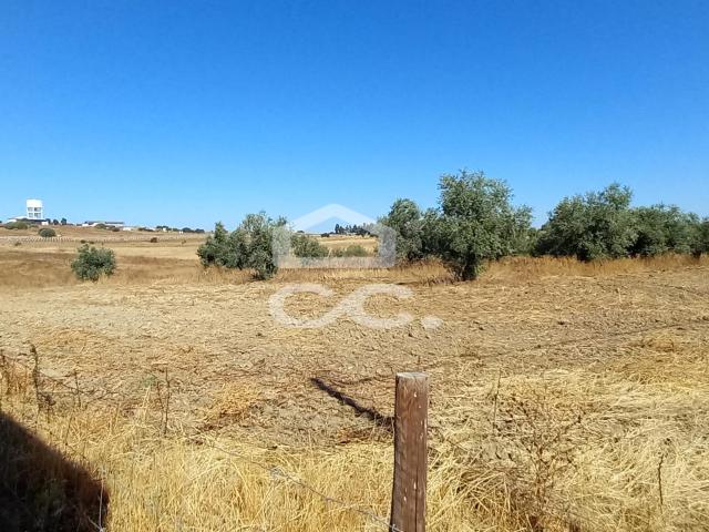 Terreno venda em Beja