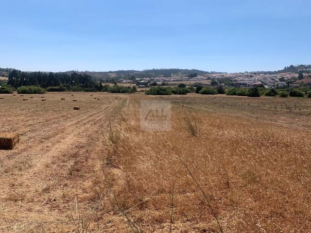 Terreno venda em Vila Do Bispo, Faro