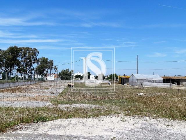 Terreno venda em Montijo, Setúbal