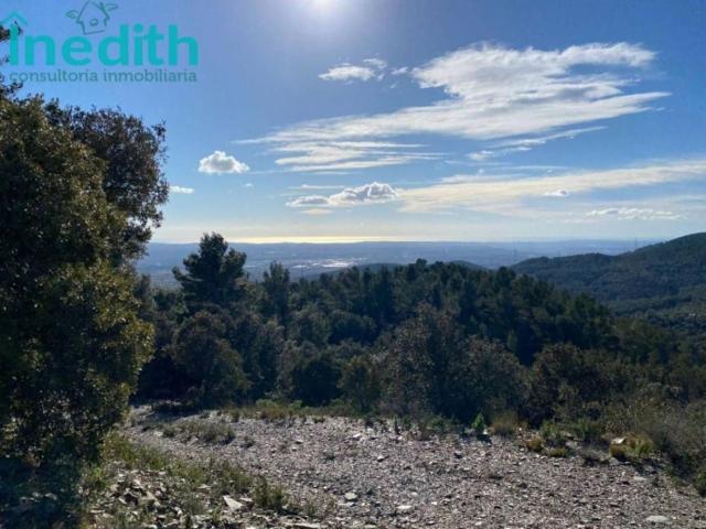 Terreno en venta en Figuerola Del Camp