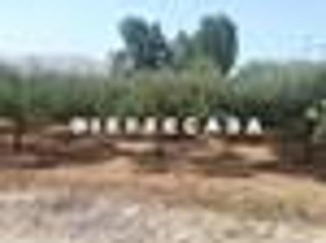 Rustico in affitto a Santi Filippo e Giacomo, Marsala