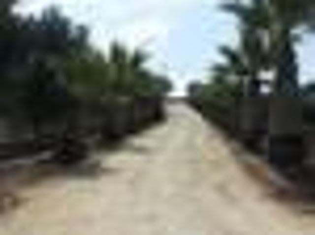 Rustico in affitto a Marsala, Sicilia