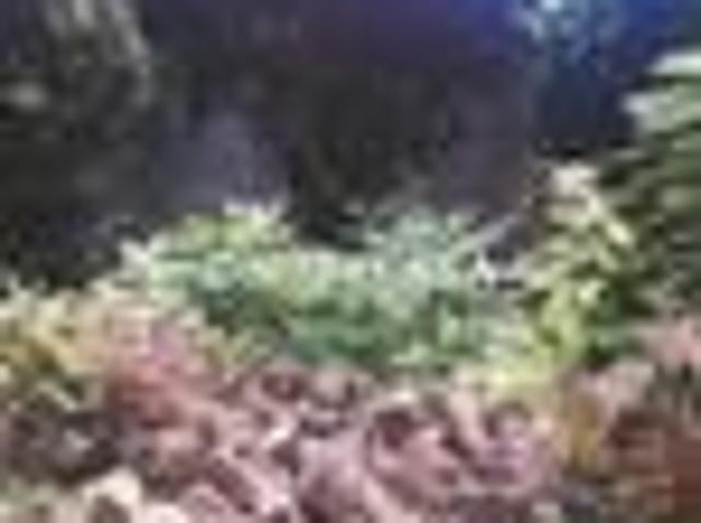Rustico in affitto a Marsala, Sicilia