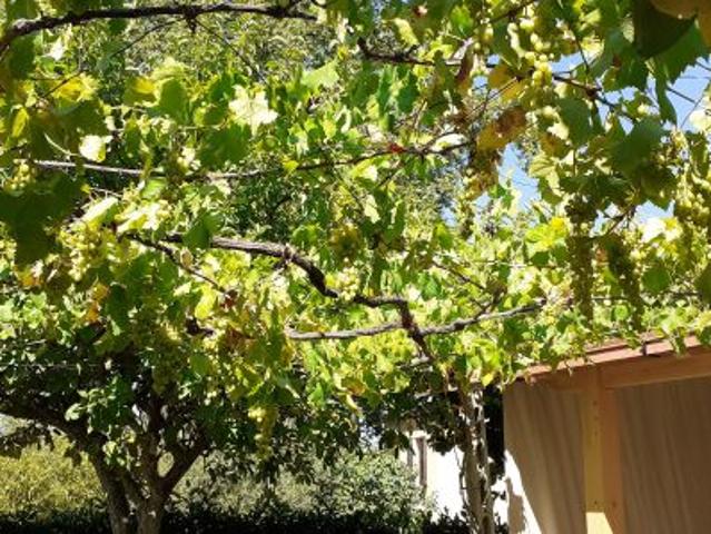 Appartamento in vendita a Marche, Macerata