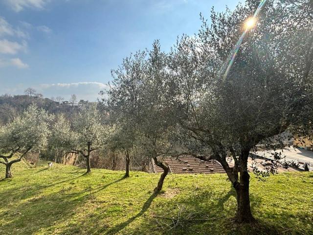 Rustico in vendita a Alatri, Lazio