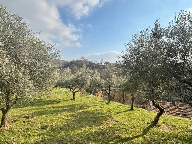 Rustico in vendita a Alatri, Lazio