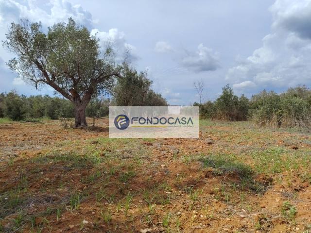 Rustico in vendita a Andrano, Lecce