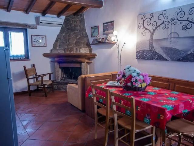 Rustico in vendita a Unione dei Comuni Montani Amiata Grossetana, Arcidosso