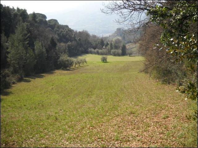 Rustico in vendita a Marche, Ascoli Piceno