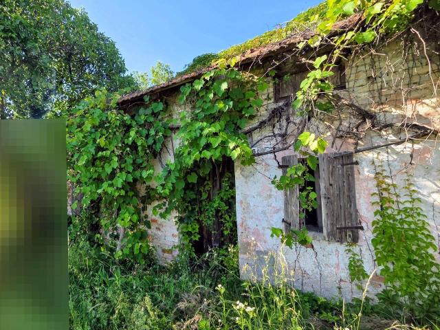 Rustico in vendita a Azzano Decimo, Friuli-Venezia Giulia