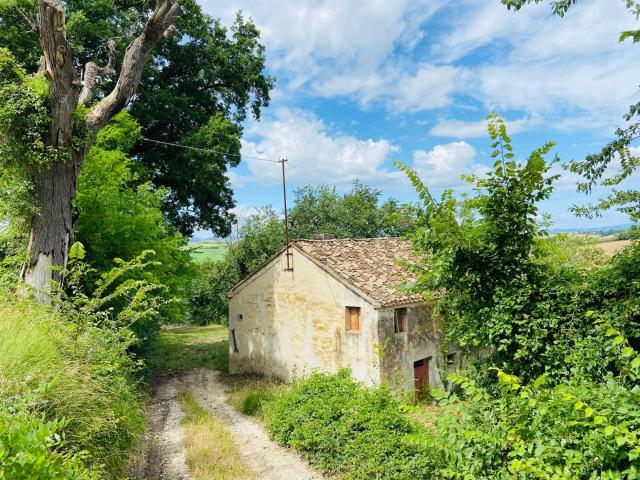 Rustico in vendita a Marche, Ancona
