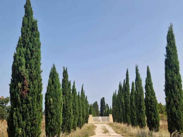Palazzo in vendita a Mitrano, Puglia